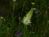 24 Le Puy de Sancy  003