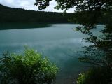 31 Autour du Lac Pavin  019