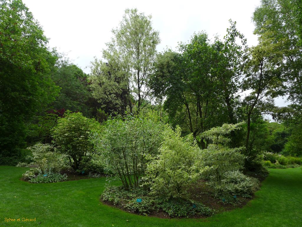 56 Valloires Abbaye