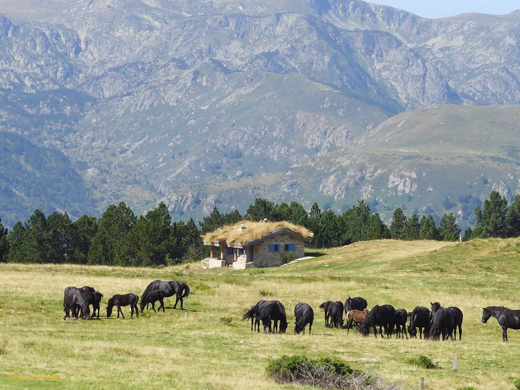 20 Plateau de Beille refuge Piparlan