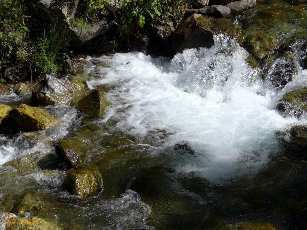 41 Vallée d'Orlu 