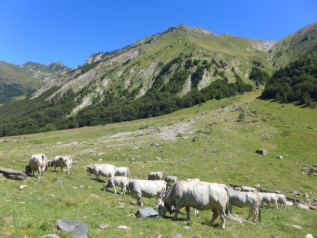 45 Vallée d'Orlu 