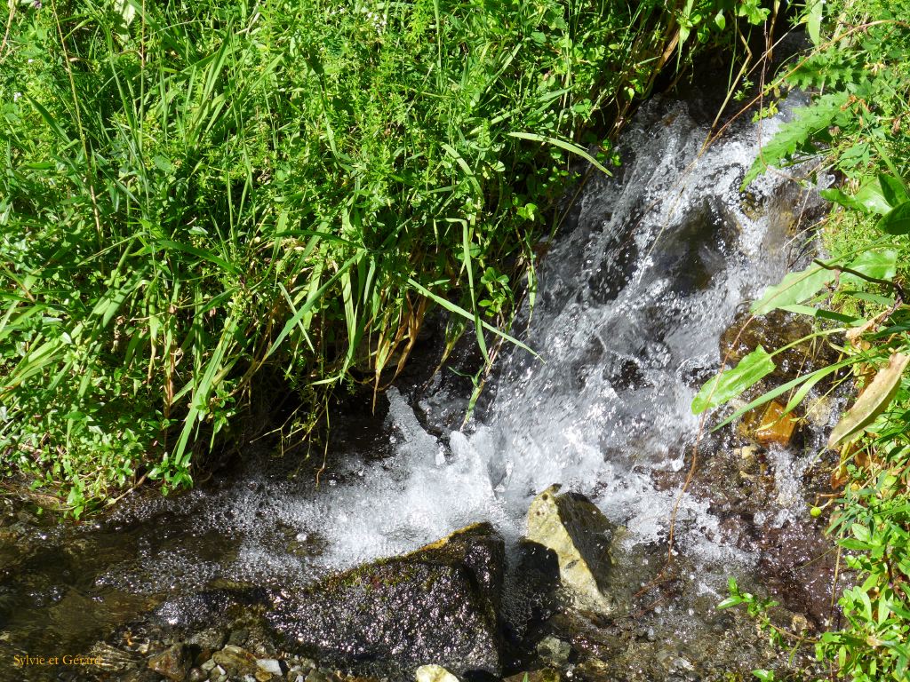 54 Vallée d'Orlu 