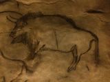 90 Grotte de Niaux 