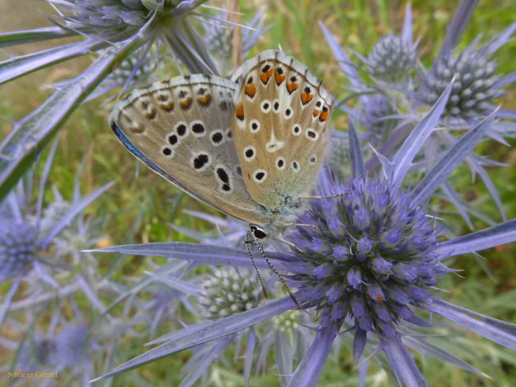 P1280151