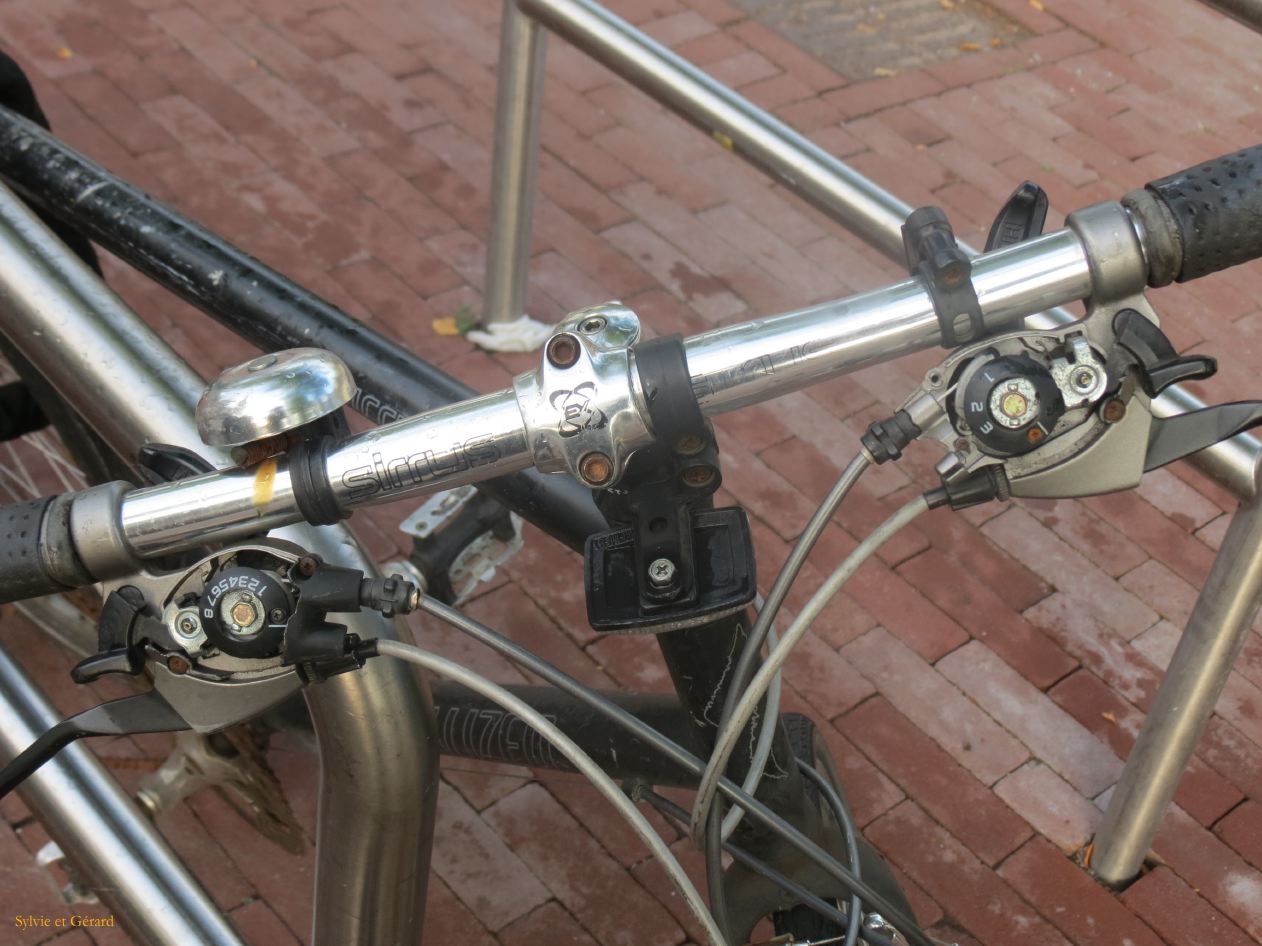 162 tout sur le vélo hollandais