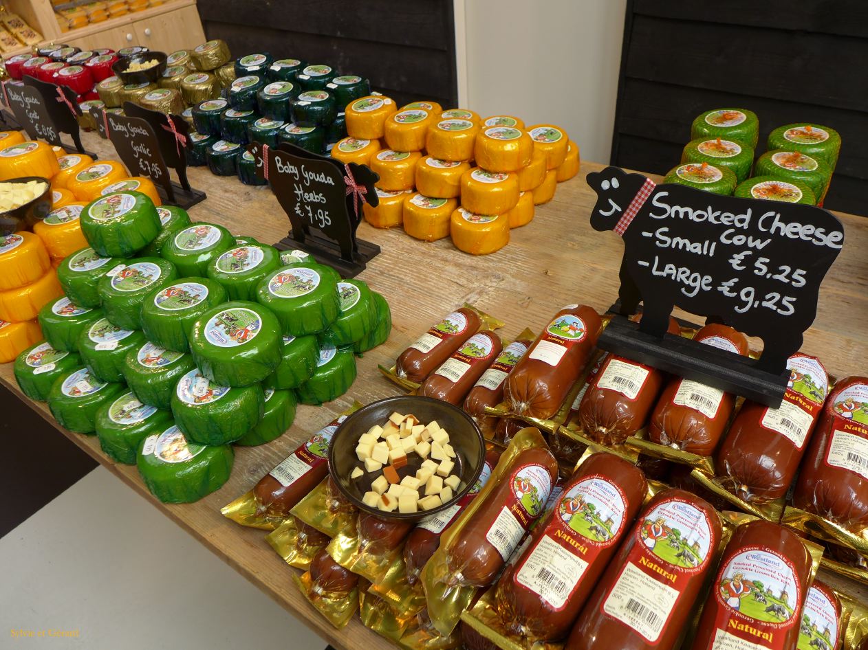 036 fromages colorés