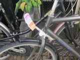 166 tout sur le vélo hollandais