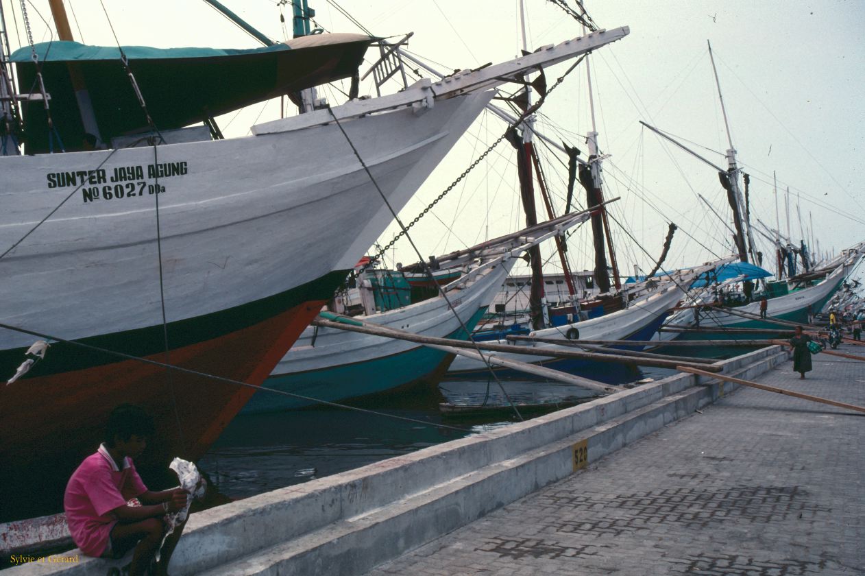 Java Bali 1989-002 Port de Jakarta  les perahu qui transportent le bois des Célèbes 