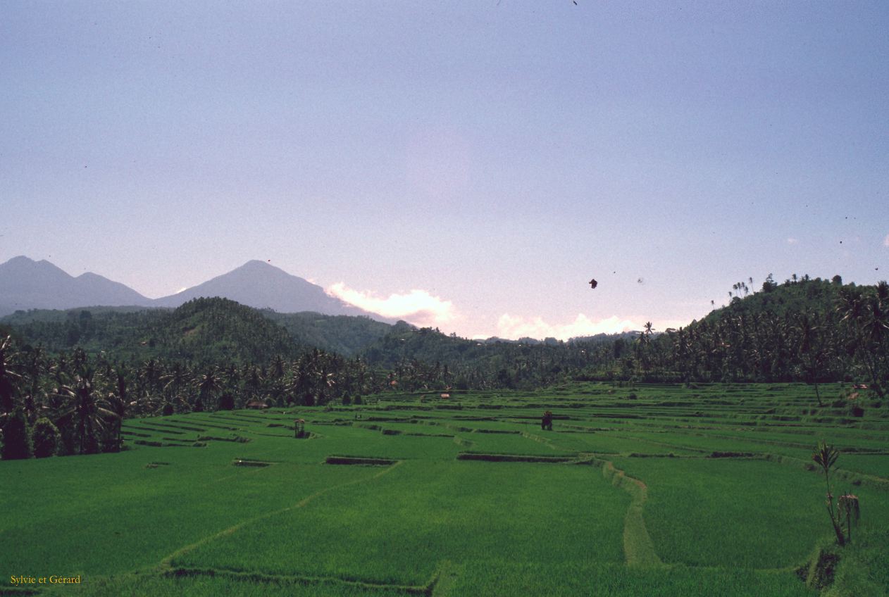 Java Bali 1989-216 Bali rizières 