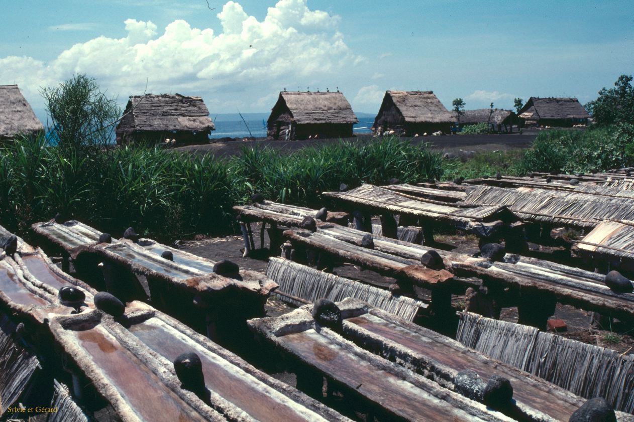 Java Bali 1989-090 Bali récolte de sel qui est séparé de l'eau par évaporation dans les bambous 