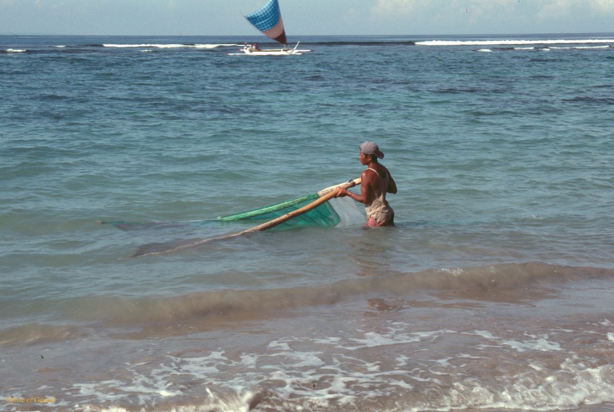 Java Bali 1989-095 Bali ramassage d'alevins