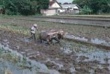 Java Bali 1989-070 labourage de la rizière 