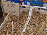 047 Palerme le quartier du marché Ballaro - le marché P1450642