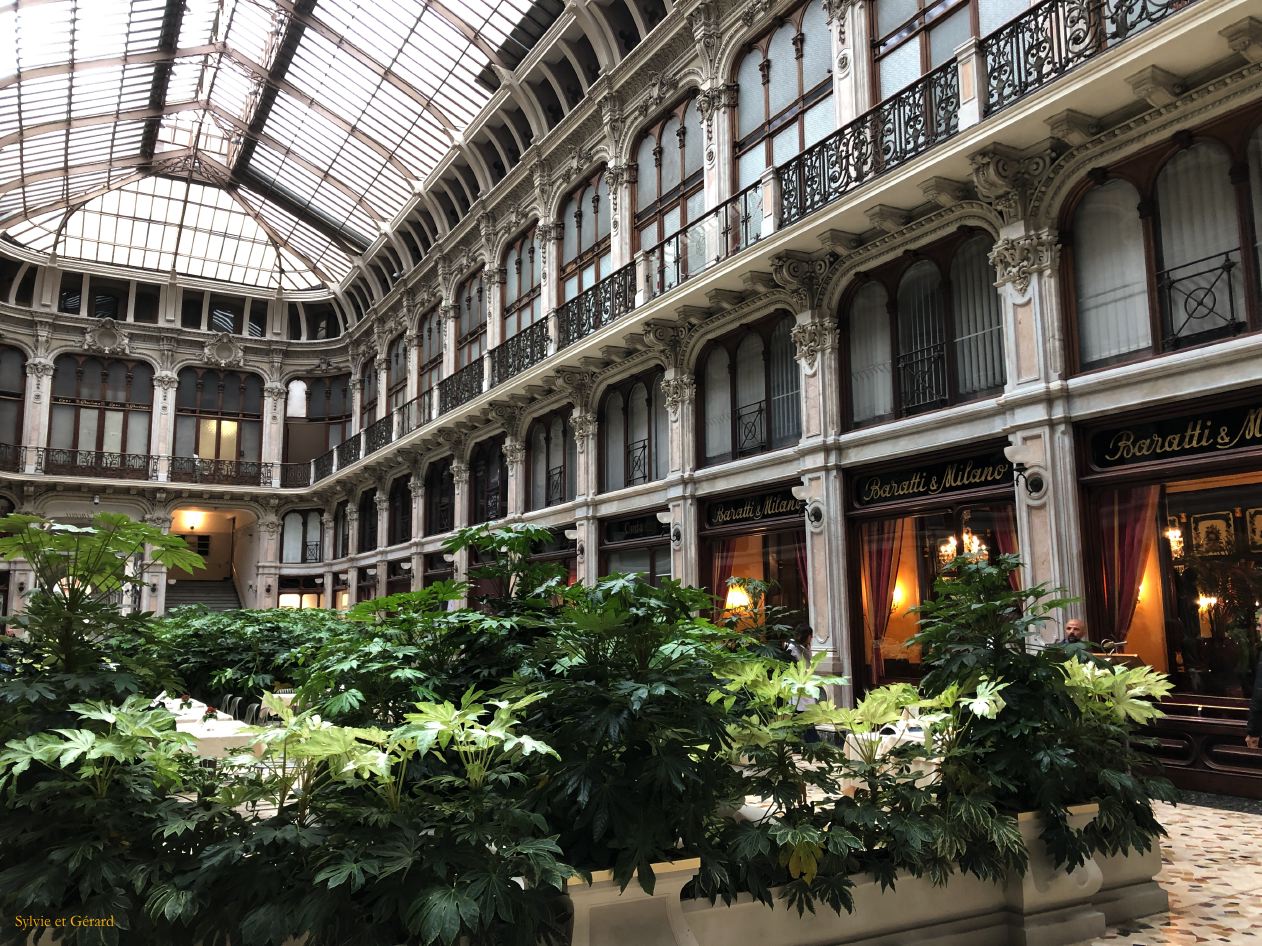 15 Turin galleria subalpina  IMG_2212