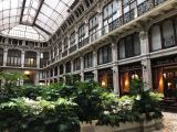 15 Turin galleria subalpina  IMG_2212