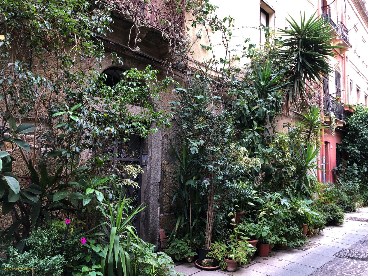 13 Cagliari 28 quartier Villanova via Piccioni  IMG_5980