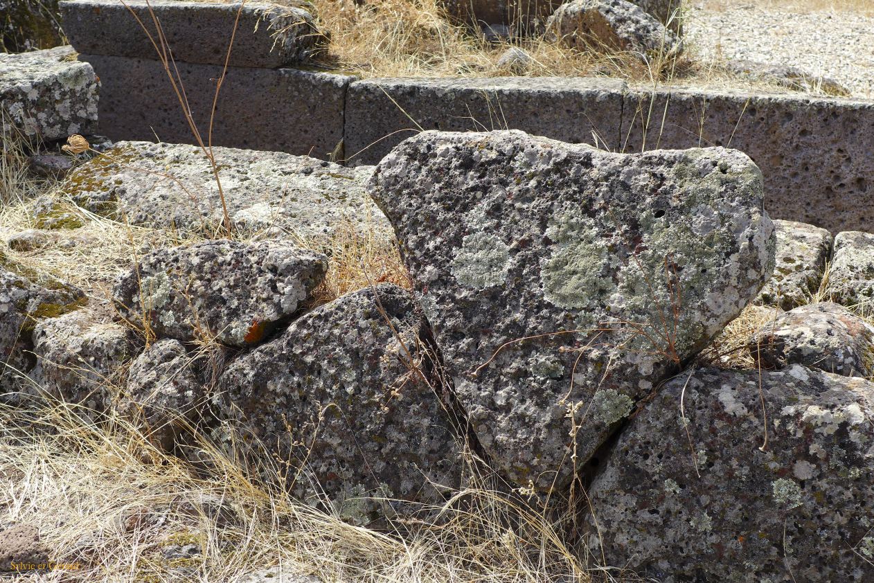 33  Sedilo nuraghe Iloi P1270941