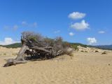 21  Arbus 8 les dunes di Piscinas  P1270722
