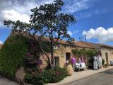 03  San Pantaleo 3 IMG_5437