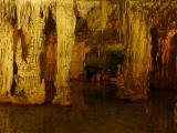 38 Porto Conte parco naturale regionale grotte de Neptune P1280393