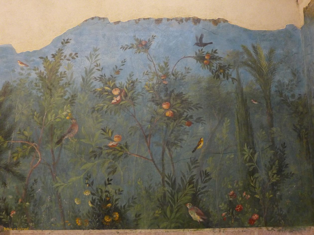 au Palazzo Massimo Alle Terme 1fresque de la villa de Livia 
