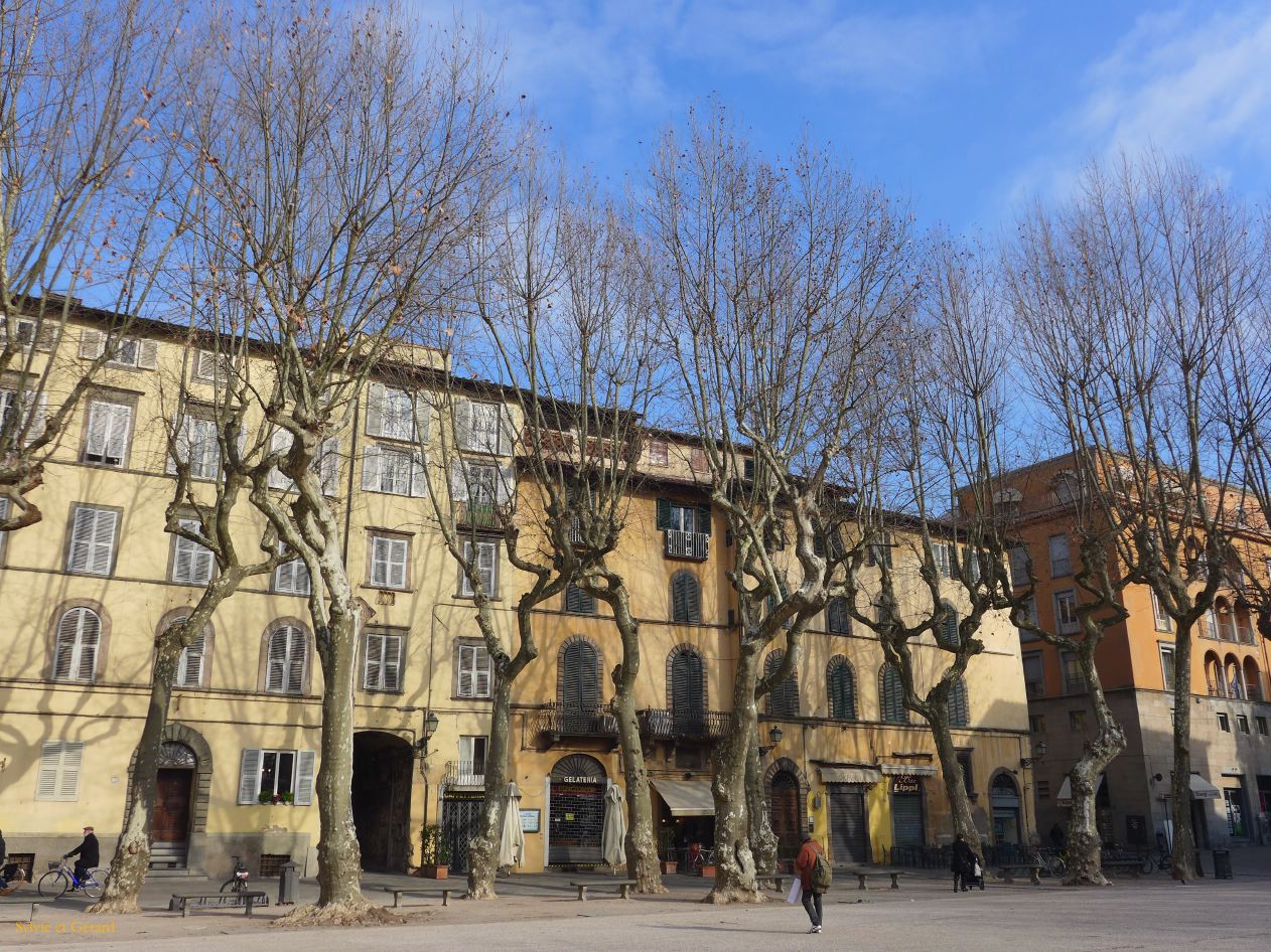 Lucques 02 piazza Napoleone P1220851