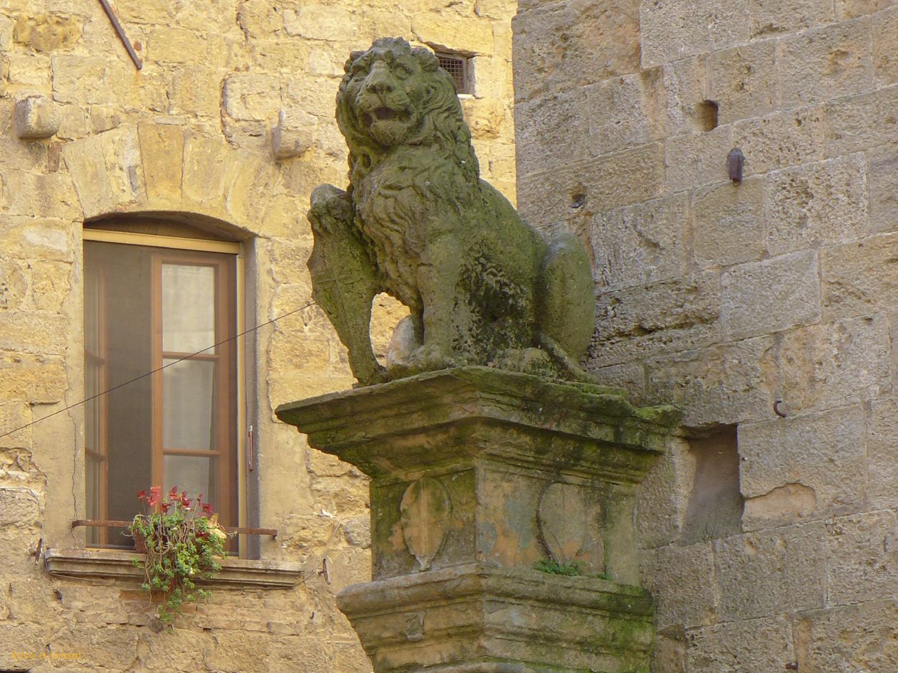 Voltera 03 