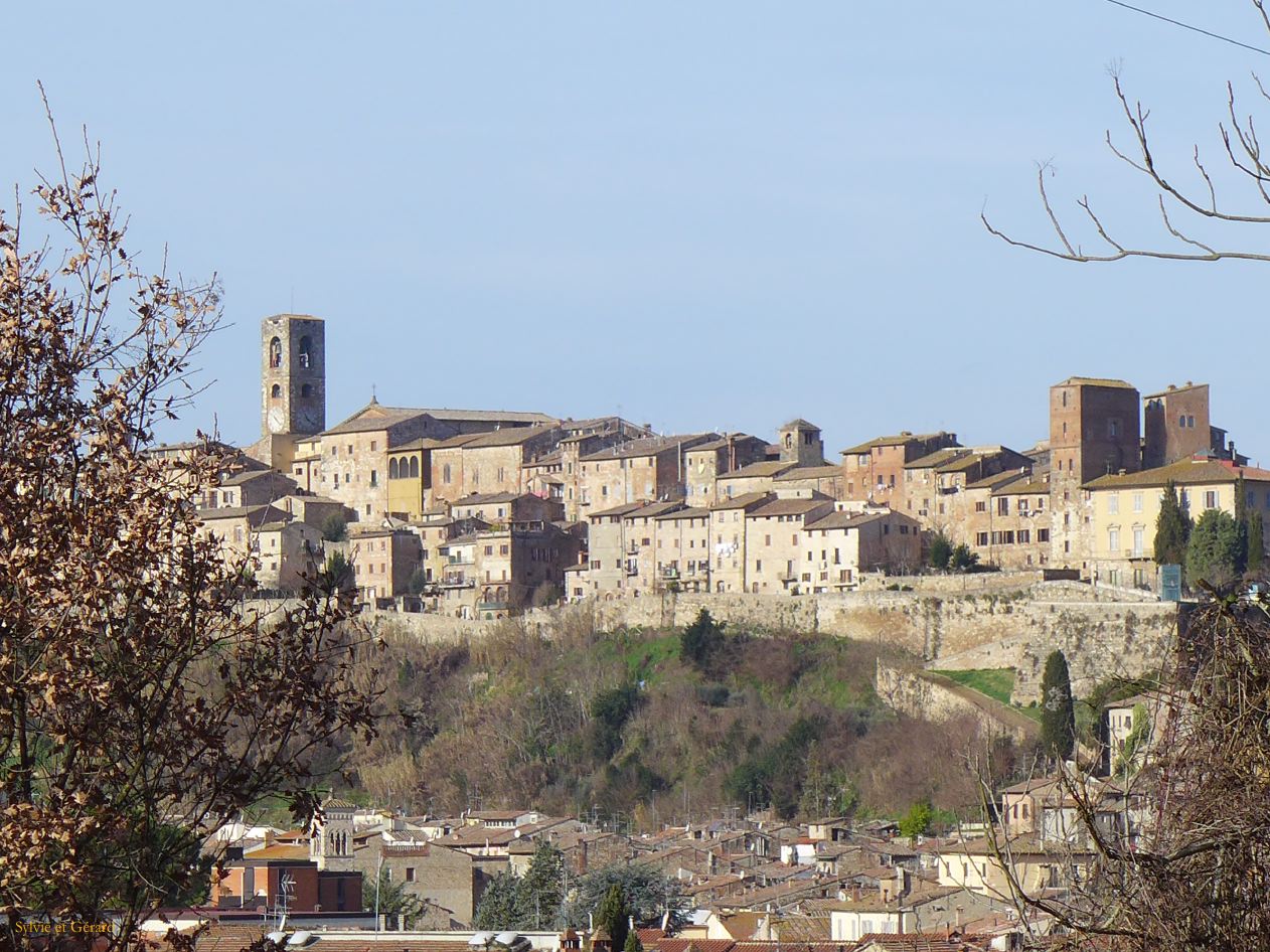 Voltera 23 