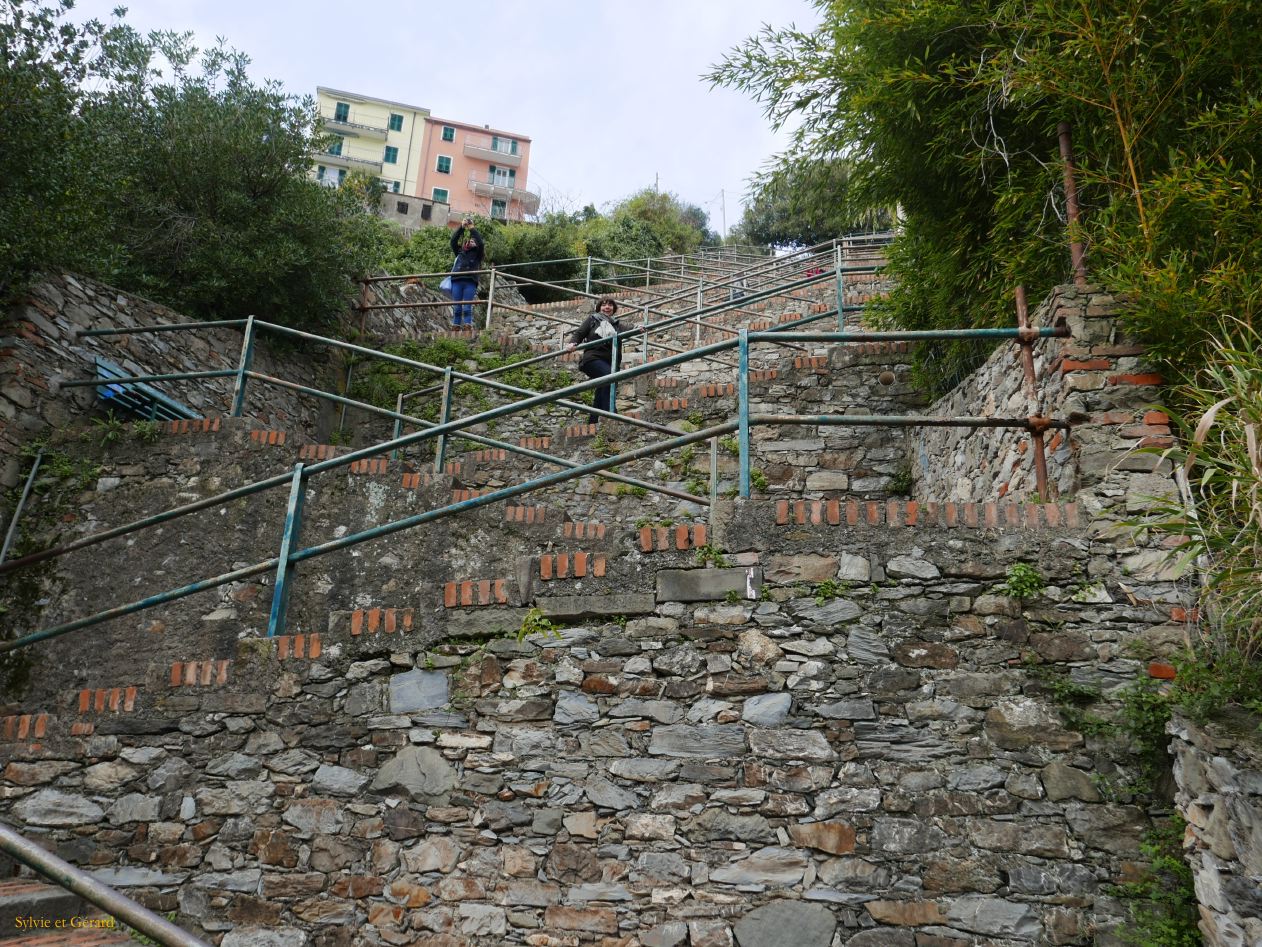 Corniglia P1300230