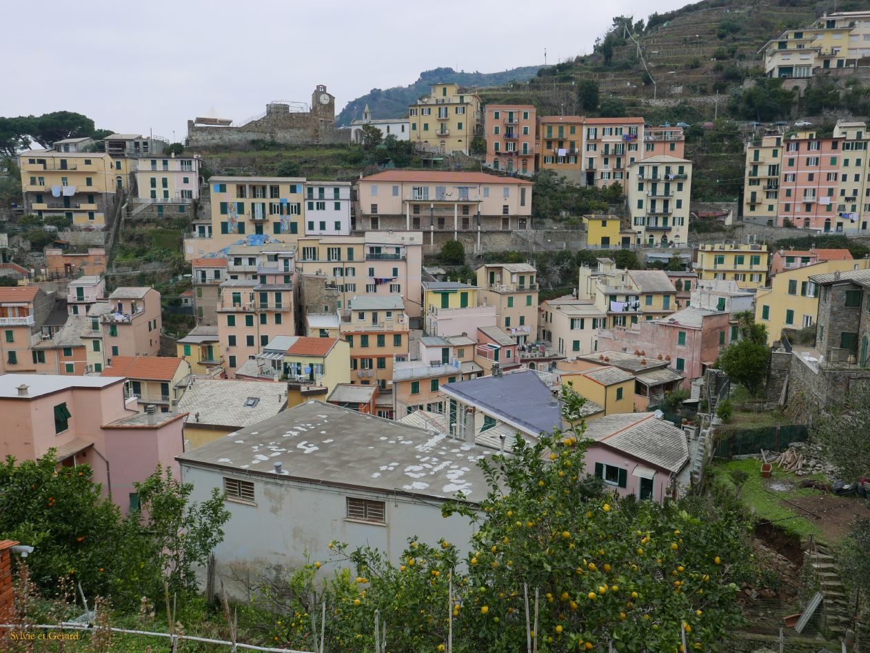 Riomaggiore P1300175
