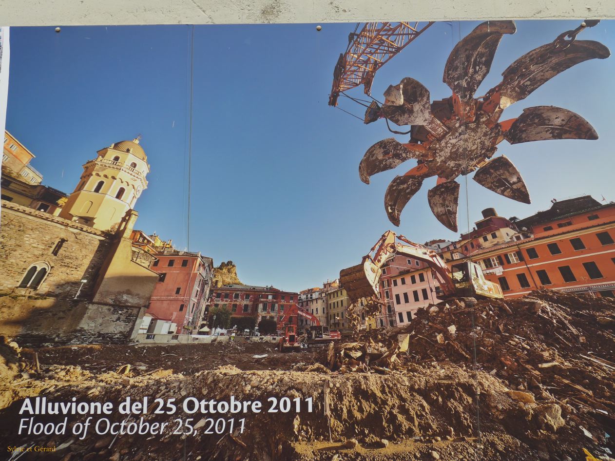 Vernazzo P1220749