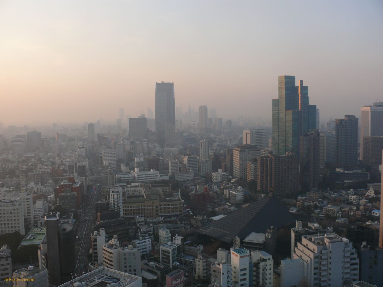 0189 TOKYO  Tower