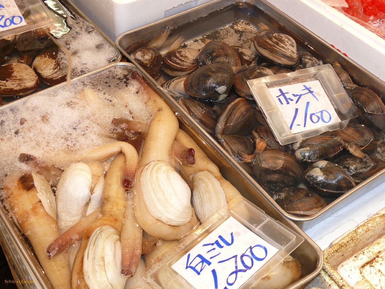 0196 TOKYO Tsukiji Marché aux poissons