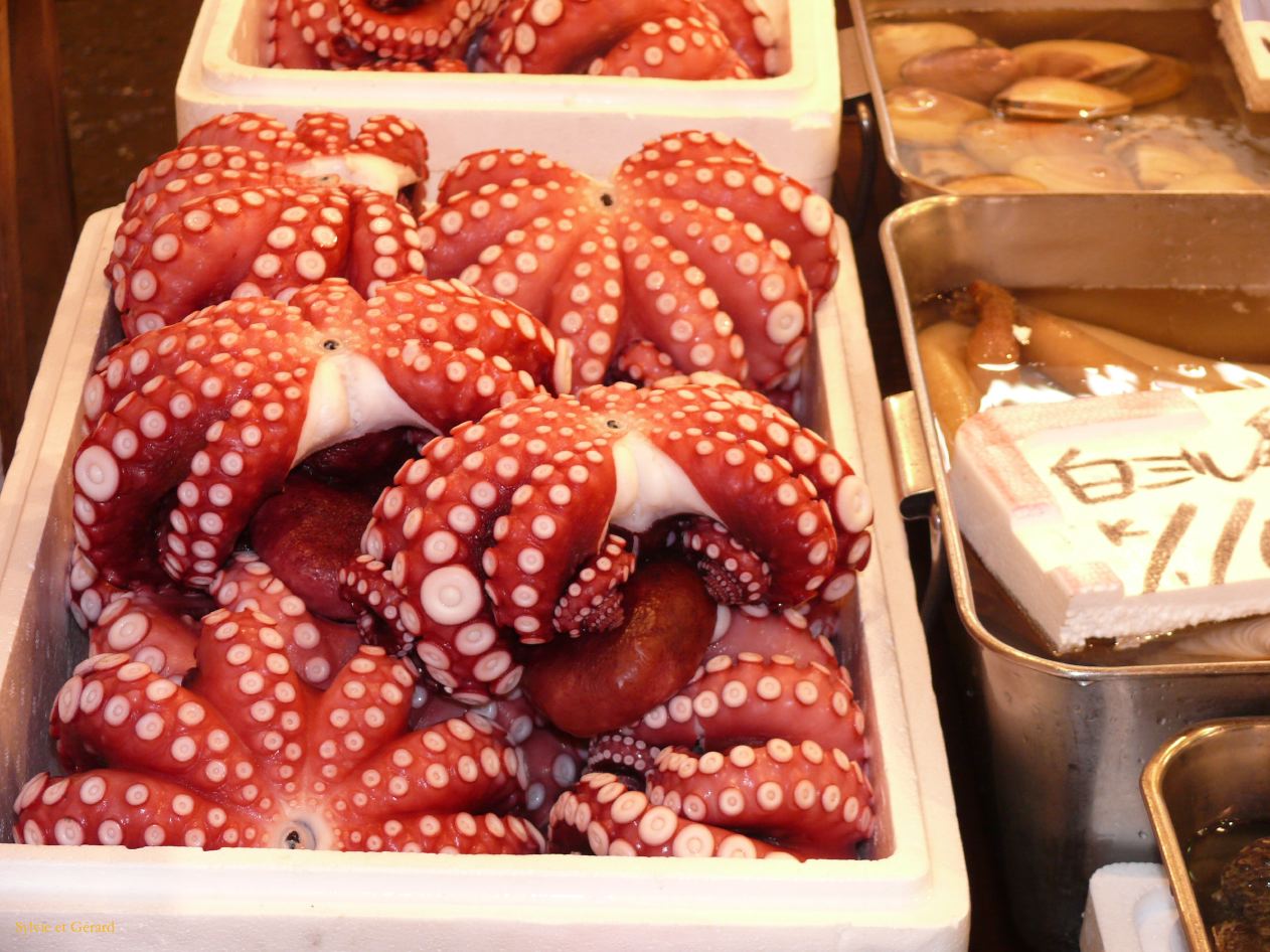 0197 TOKYO Tsukiji Marché aux poissons