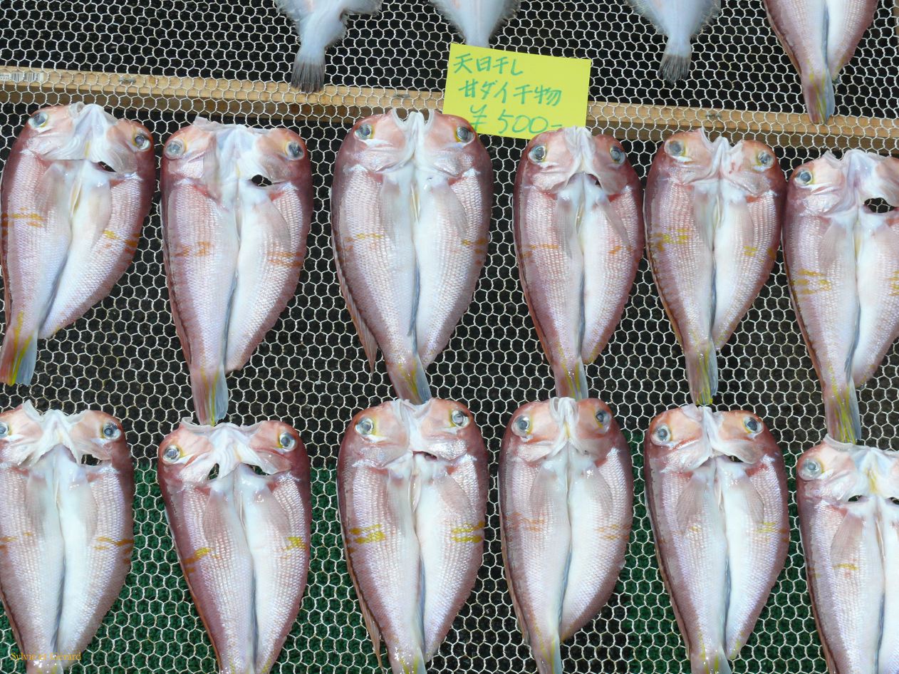 0200 TOKYO Tsukiji Marché aux poissons