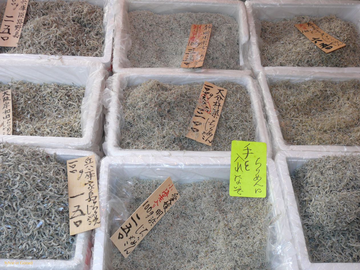 0201 TOKYO Tsukiji Marché aux poissons