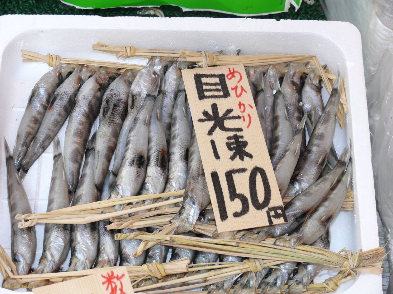 0202 TOKYO Tsukiji Marché aux poissons