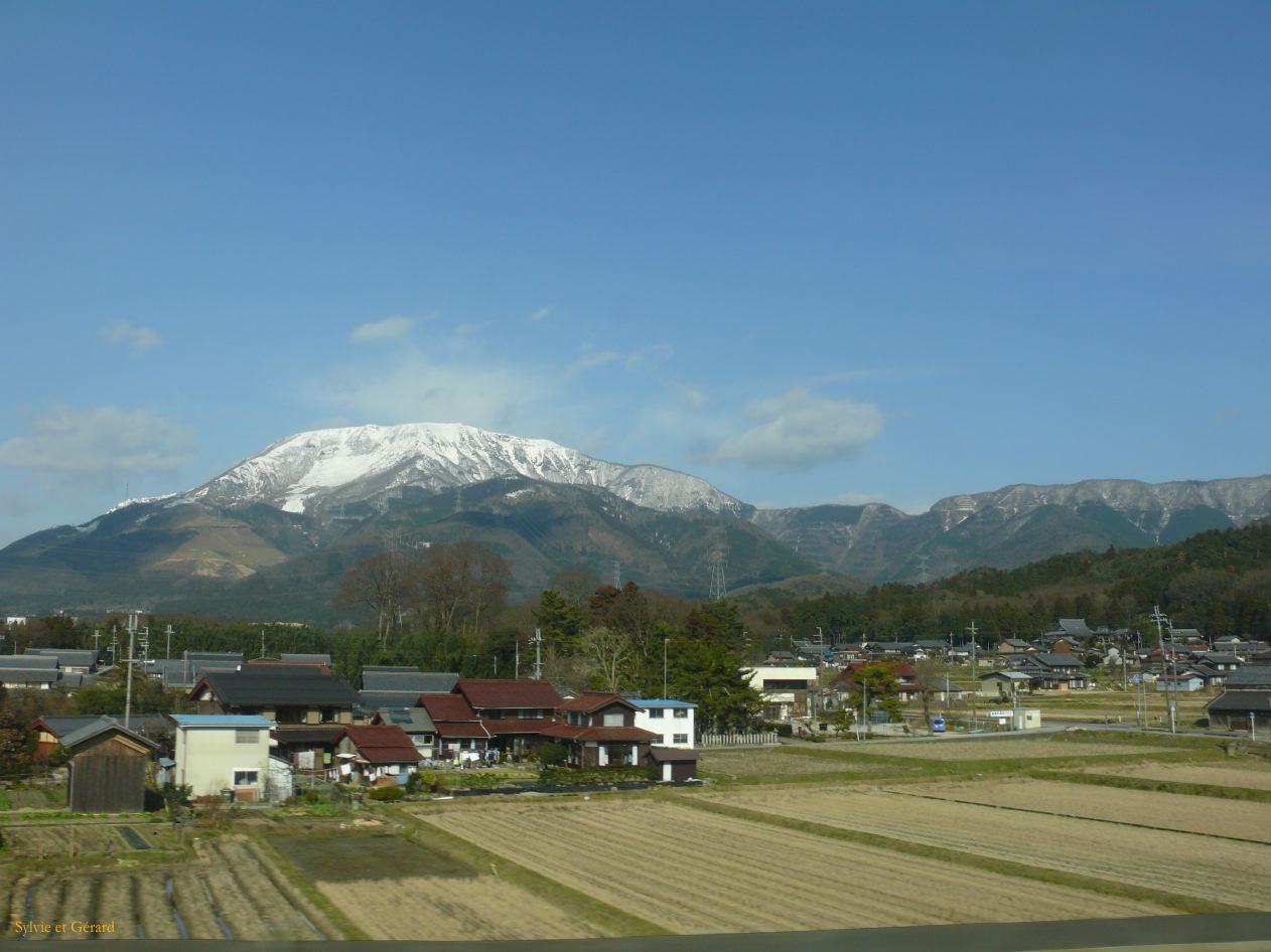 0279 vue du train