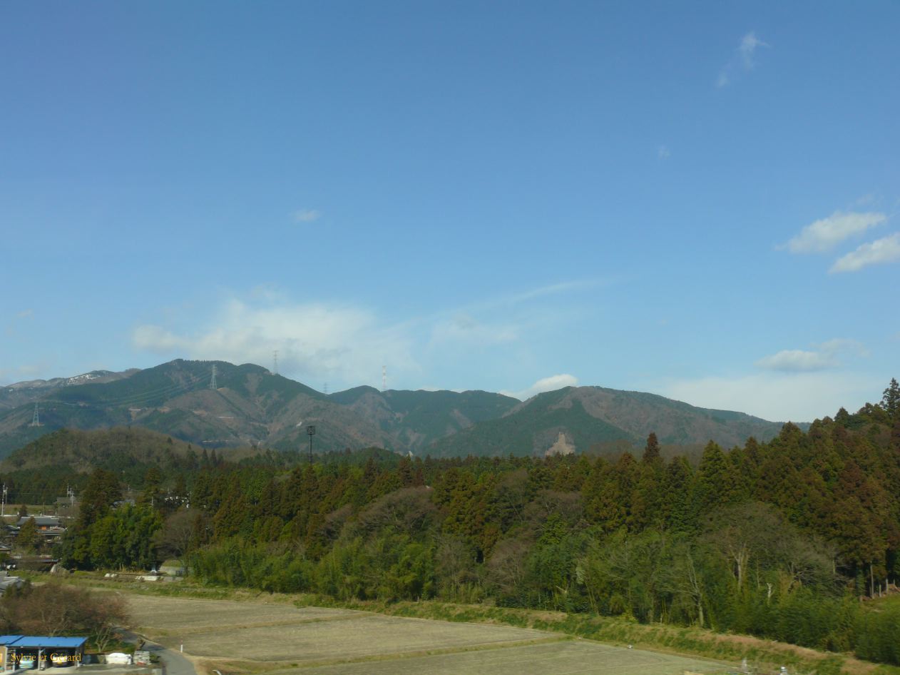 0280 vue du train