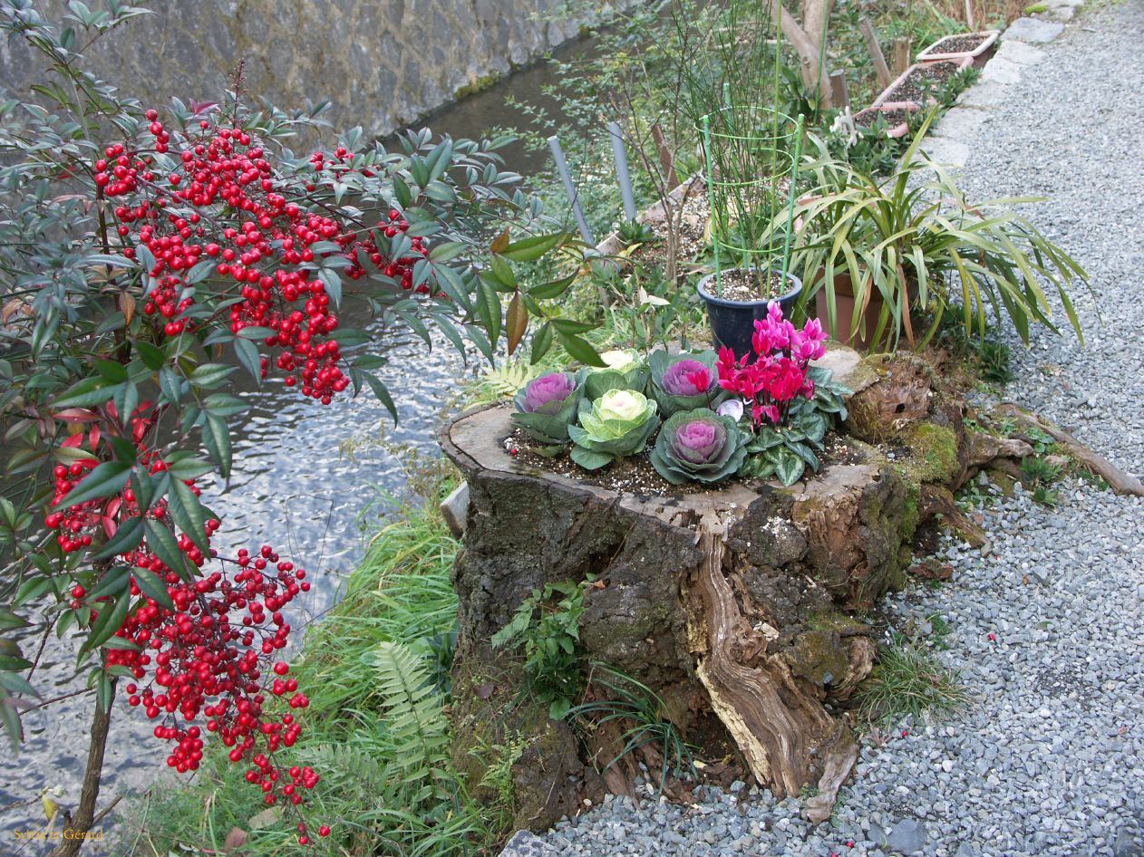 0084 KYOTO Chemin de la Philosophie