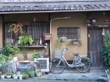 0082 KYOTO Chemin de la Philosophie