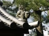 0086 KYOTO Chemin de la Philosophie