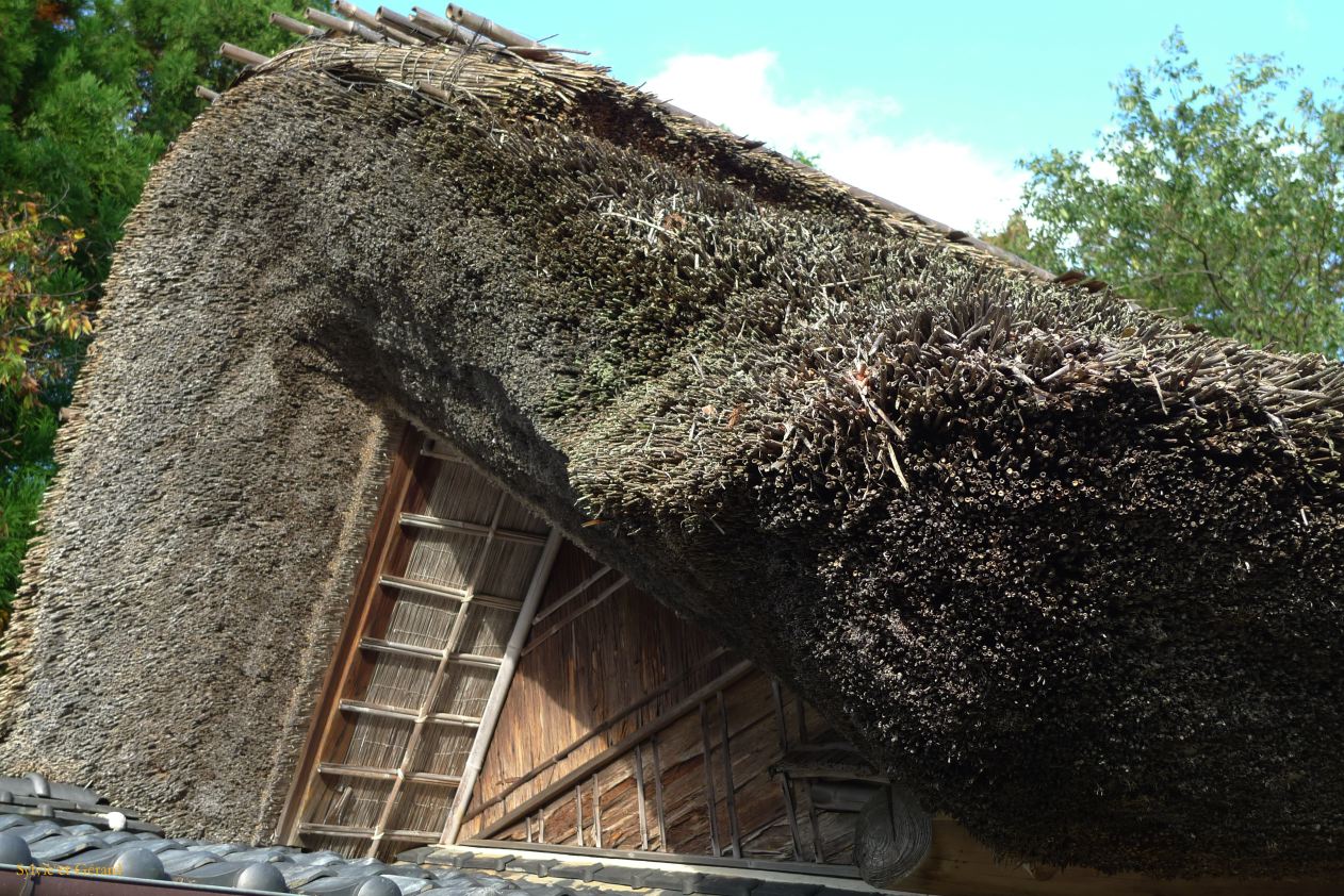 C Chûgoku 078 Matsue maison de thé 