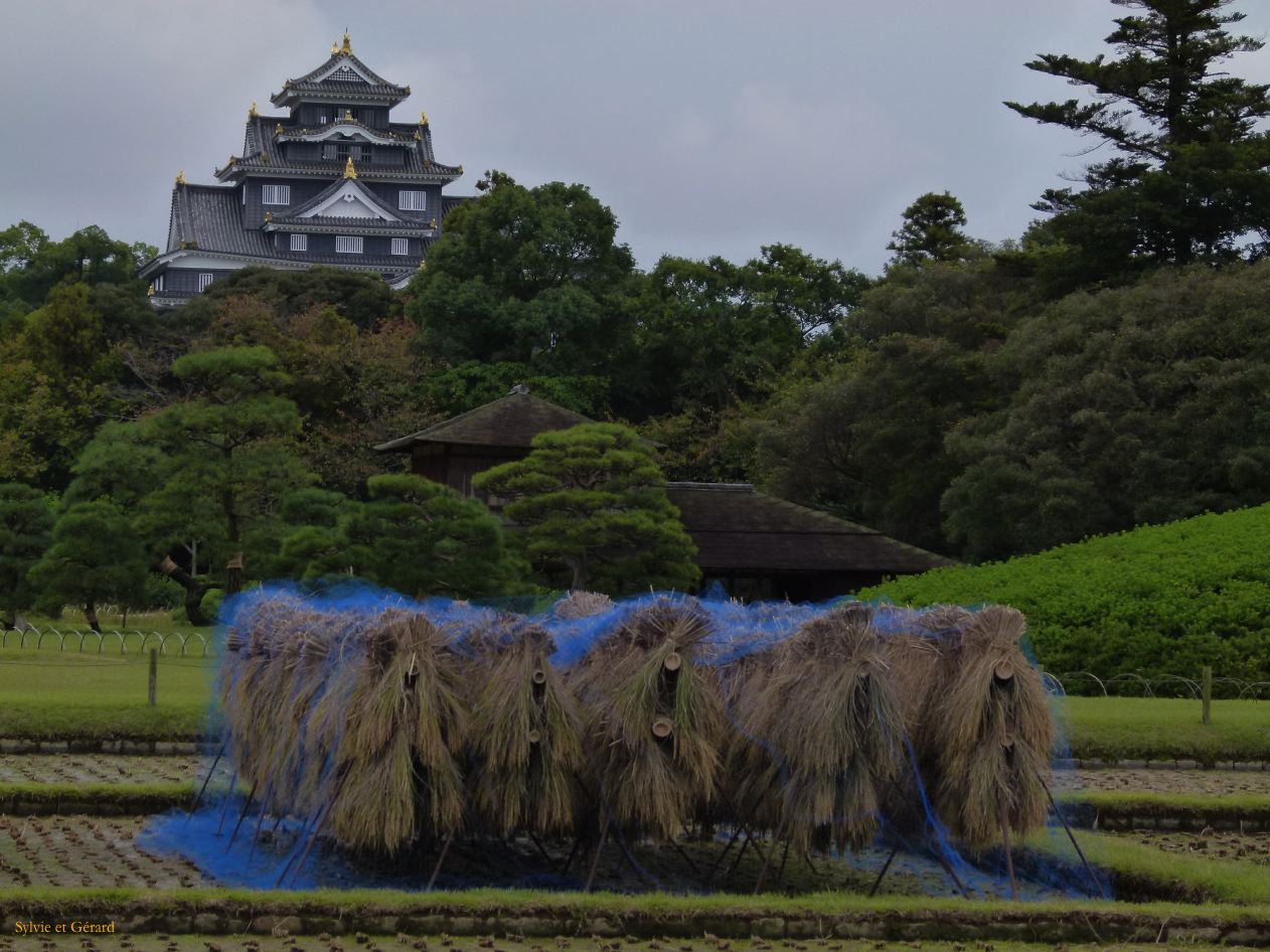C Chûgoku 080 Okayama le château et le jardin Kôraku-en 