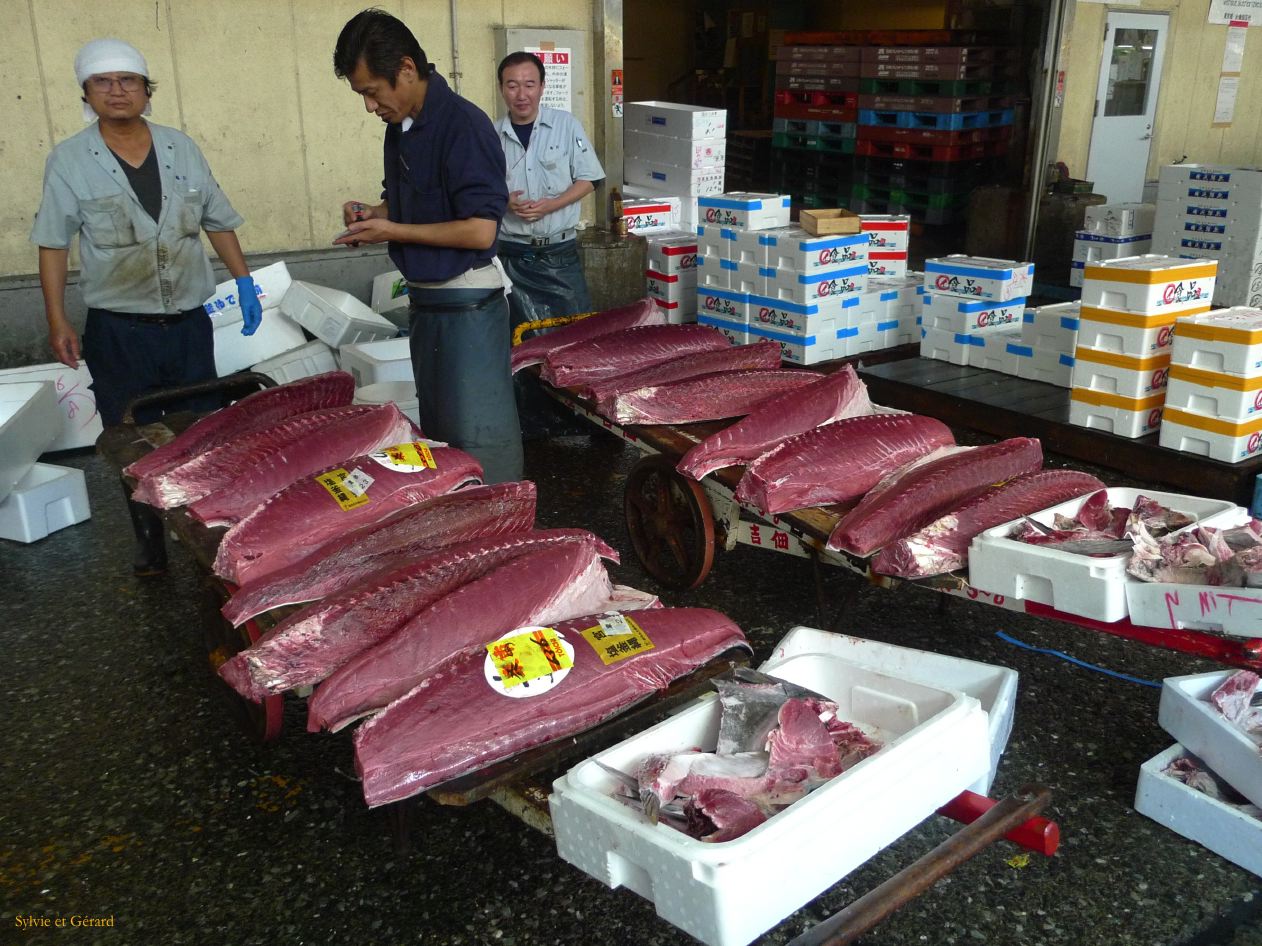 A Tokyo 022 quartier Tsukiji le marché aux poissons morceaux de thon
