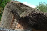 C Chûgoku 078 Matsue maison de thé 