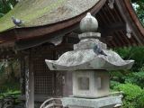 D Kyûshû 017 Daizaifu sanctuaire Tenman-gû  