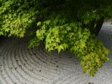 D Kyûshû 022 Daizaifu jardin zen du temple Kômyôzen-ji 