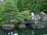 B Kansai 012 Himeji Parc Kôko-en épilation des arbres